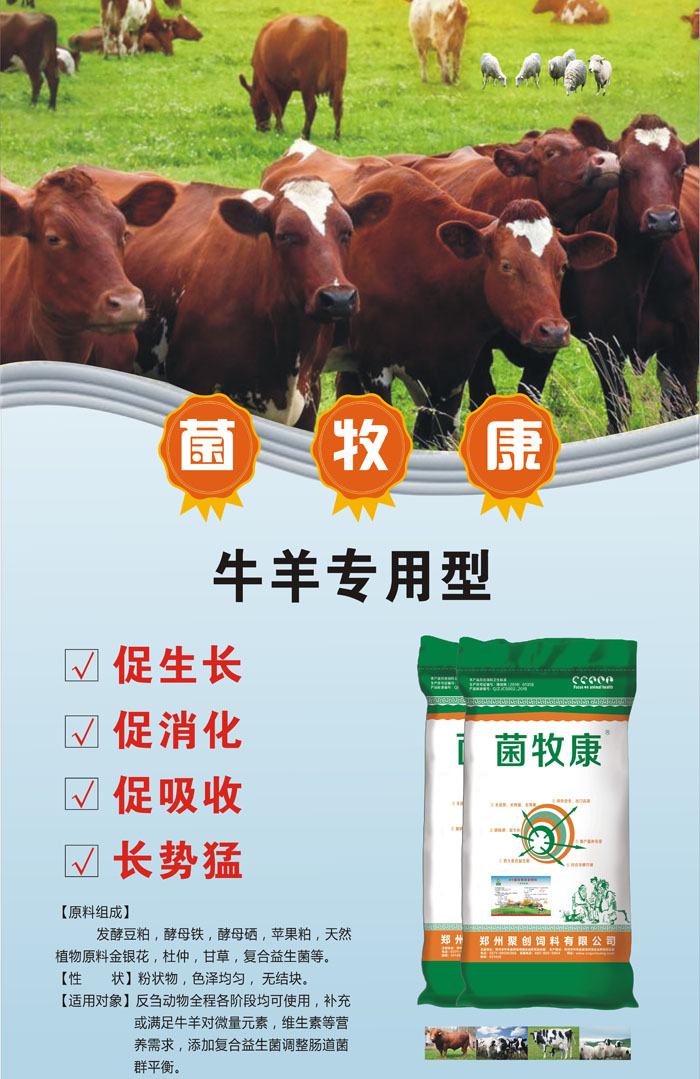 ������´������ͼƬ