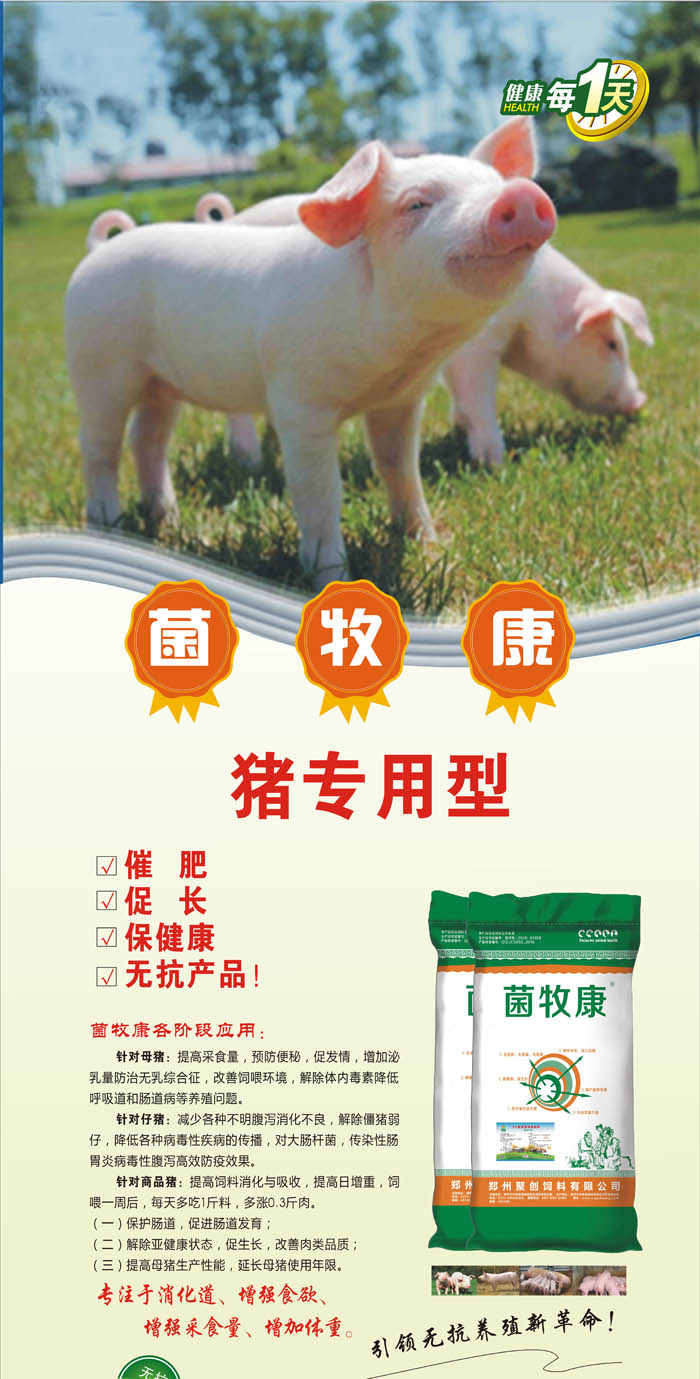 ������´������ͼƬ